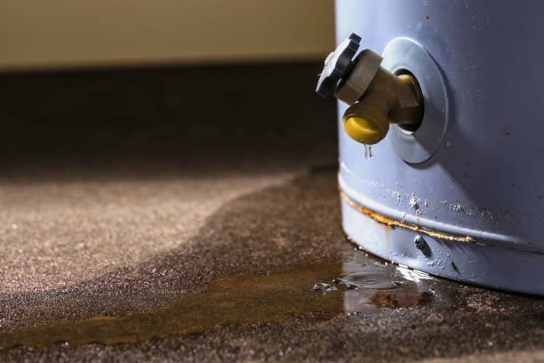 Best Ceiling water damage repair  in Avalon, NJ