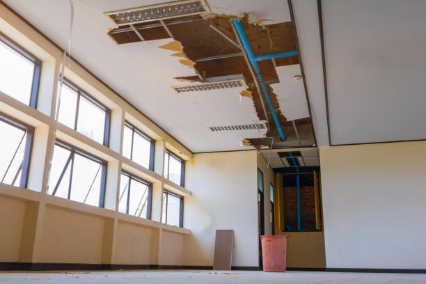 Water damage restoration mold remediation in Avalon, NJ