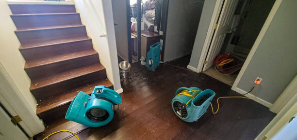 Avalon, NJ Water damage restoration Company