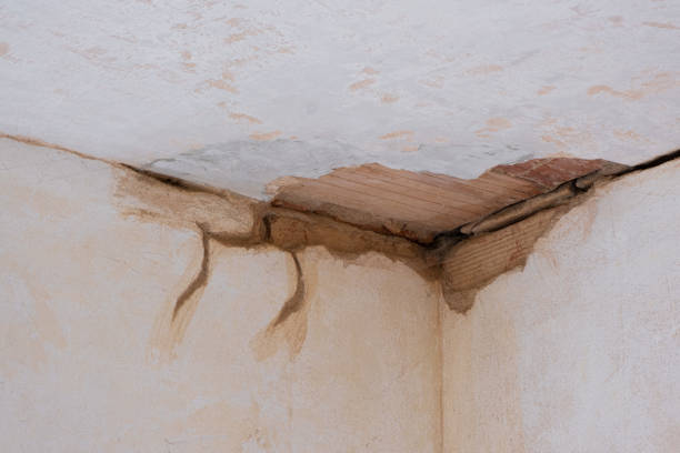Best Water damage cleanup near me  in Avalon, NJ