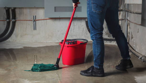Best 24-hour water damage restoration  in Avalon, NJ