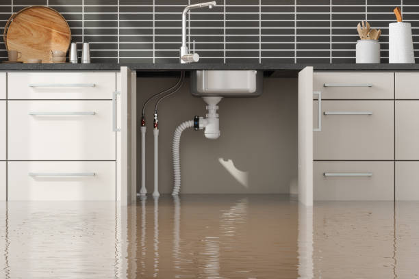 Best Carpet water damage restoration  in Avalon, NJ