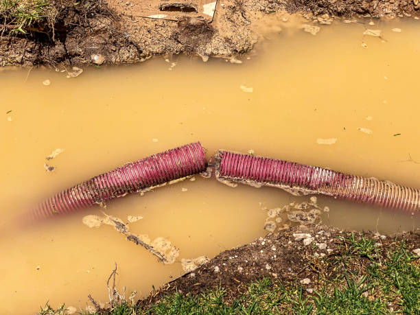 Best Flood restoration services  in Avalon, NJ